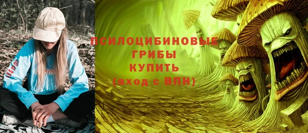 амф Алексин