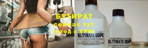 индика Алзамай