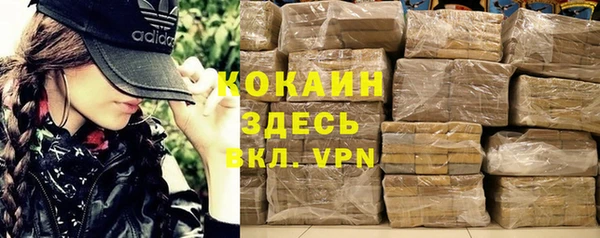 индика Алзамай