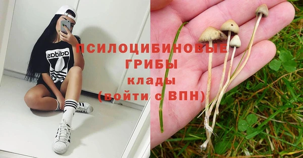 амф Алексин