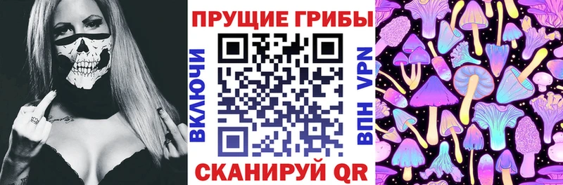 Псилоцибиновые грибы Psilocybe  Ветлуга 
