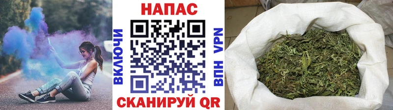 Бошки марихуана THC 21%  Ветлуга 